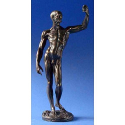 Figurine art mouseion houdon anatomical study  hou01 3dMouseion