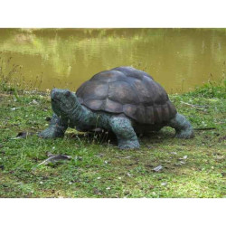 Tortue -B58480 dans Statue et figurine