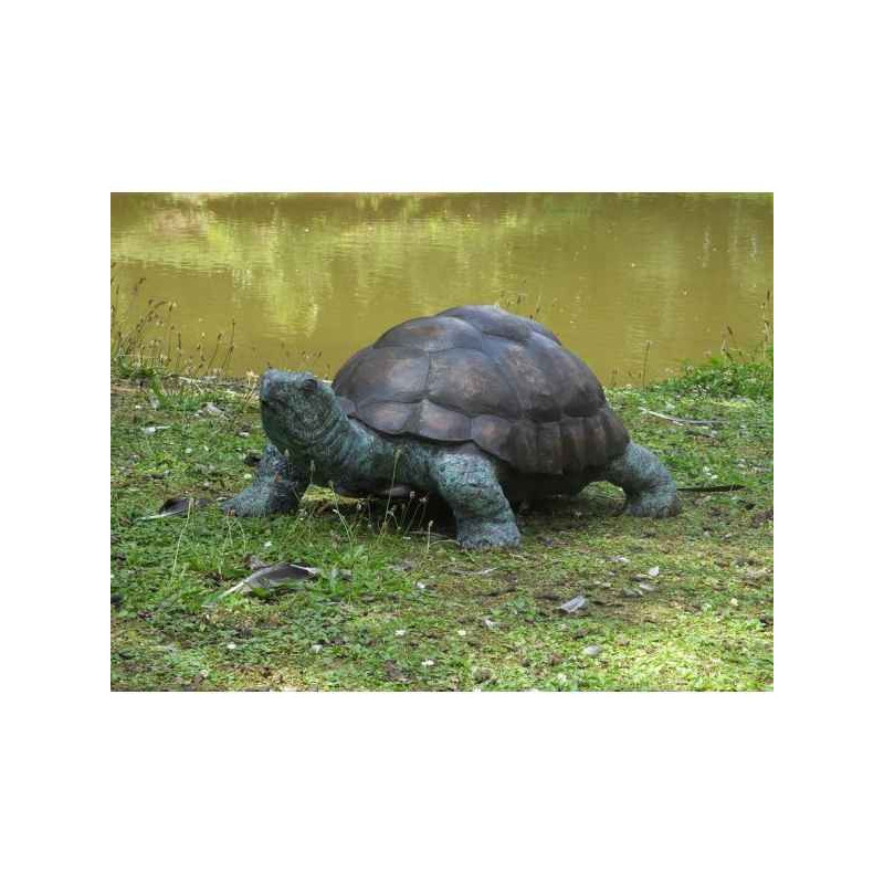 Tortue -B58480 dans Statue et figurine