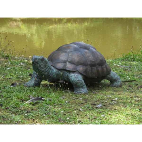 Tortue -B58480 dans Statue et figurine