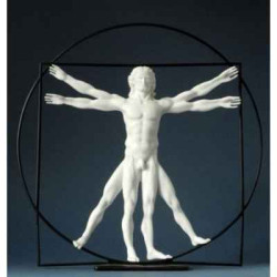 Da vinci l'homme de vitruve wh.42cm 3dMouseion -DAV05