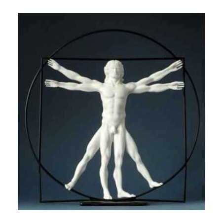 Da vinci l'homme de vitruve wh.42cm 3dMouseion -DAV05