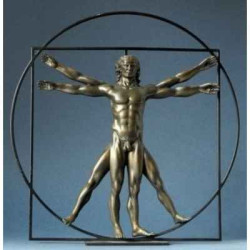 Da vinci l'homme de vitruve br.42cm 3dMouseion -DAV04