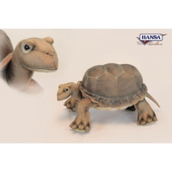 Tortue galapagos 28cmh/55cml Anima -6561 dans Décoration de la mer