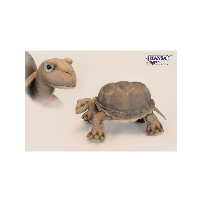 Tortue galapagos 28cmh/55cml Anima -6561 dans Décoration de la mer