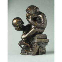 Animaux sauvage Pocket art rheinhold "phil. monkey" Parastone -PA09RHE