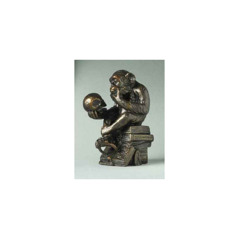 Animaux sauvage Pocket art rheinhold "phil. monkey" Parastone -PA09RHE