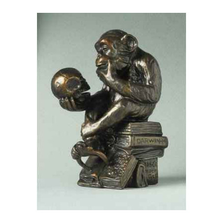 Animaux sauvage Pocket art rheinhold "phil. monkey" Parastone -PA09RHE