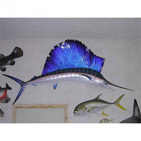 Trophée poisson des mers tropicales Cap Vert Espadon voilier  -TRDF64