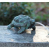 Tortue fontaine Thermobrass -AN1157BR-V-F dans Statue et figurine