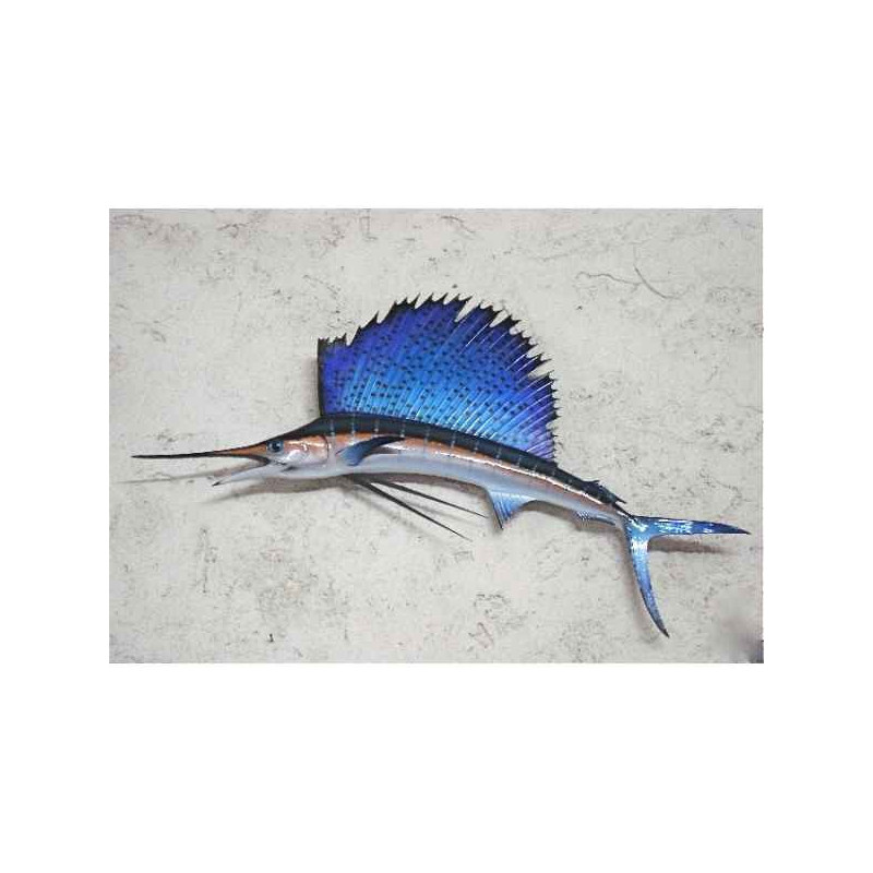 Trophée poisson des mers tropicales Espadon voilier -TRDF61