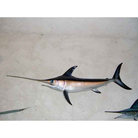 Trophée poisson des mers tropicales Espadon -TRDF60