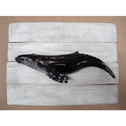 Décors Baleine à bosses sur cadre -CADR21