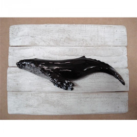 Cadre mammifère marin Cap Vert Baleine à bosses  -CADR21