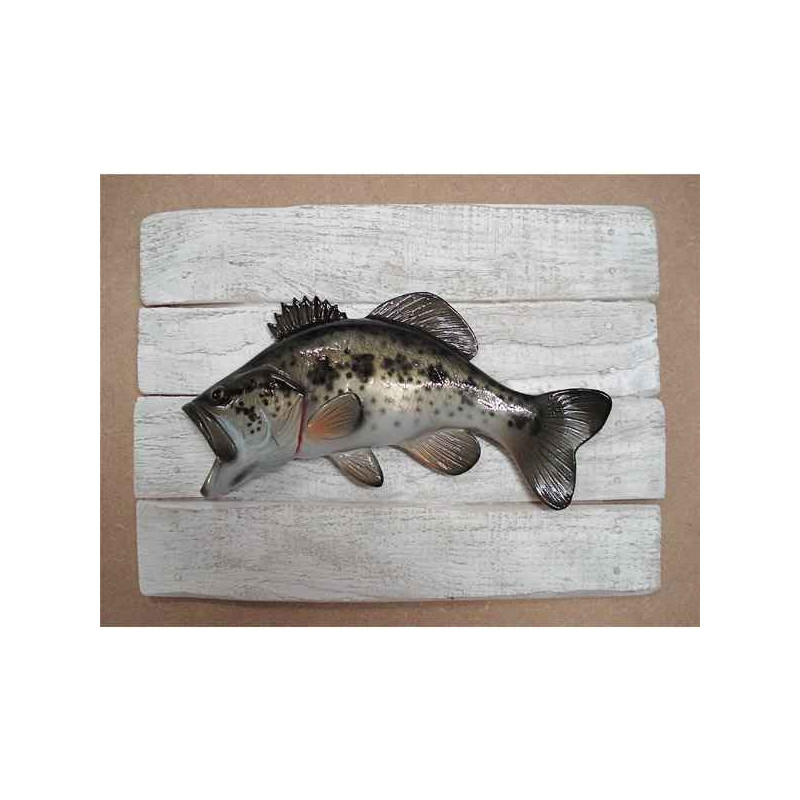 Décors Black bass sur cadre -CADR11