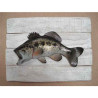 Décors Black bass sur cadre -CADR11
