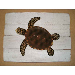 Décors Tortue sur cadre -CADR30