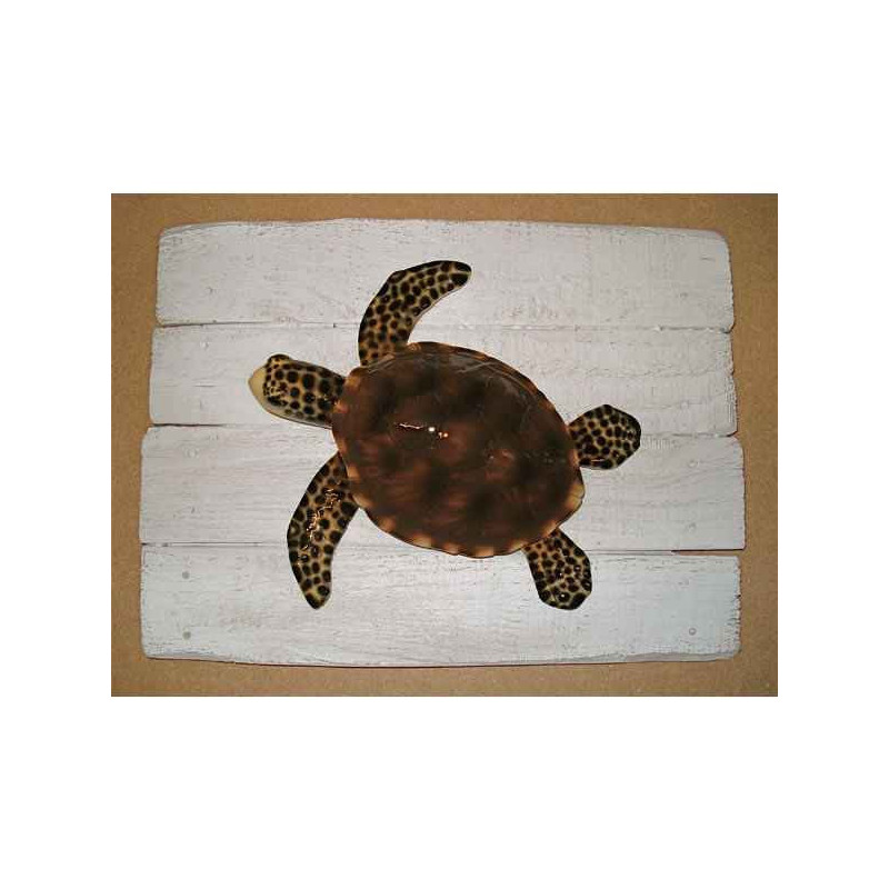 Décors Tortue sur cadre -CADR30