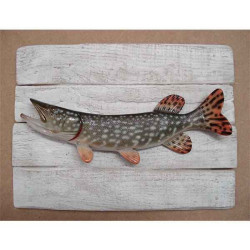 Décors Brochet sur cadre -CADR12
