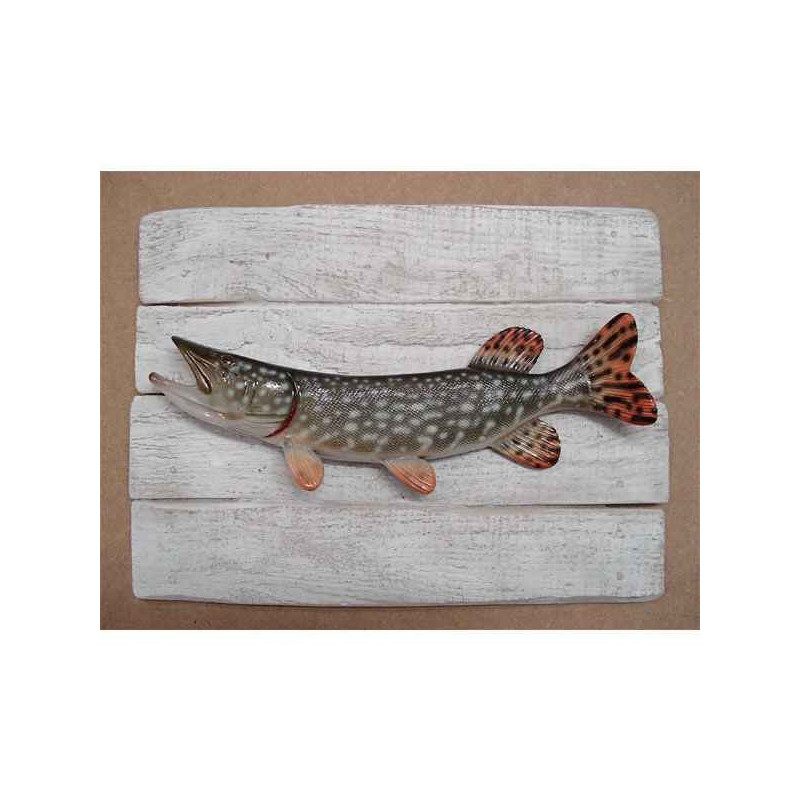 Décors Brochet sur cadre -CADR12
