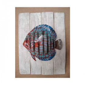 Cadre poisson d'eau douce Cap Vert Discus  -CADR15
