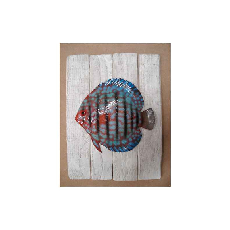 Décors Discus sur cadre -CADR15