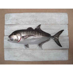 Décors Carangue ignobilis sur cadre -CADR32