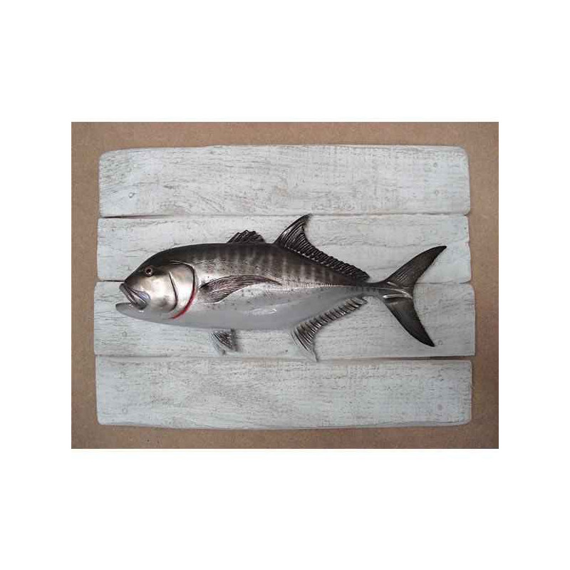 Décors Carangue ignobilis sur cadre -CADR32
