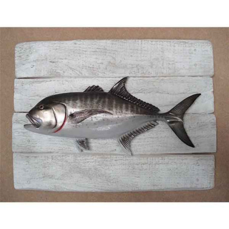 Décors Carangue ignobilis sur cadre -CADR32