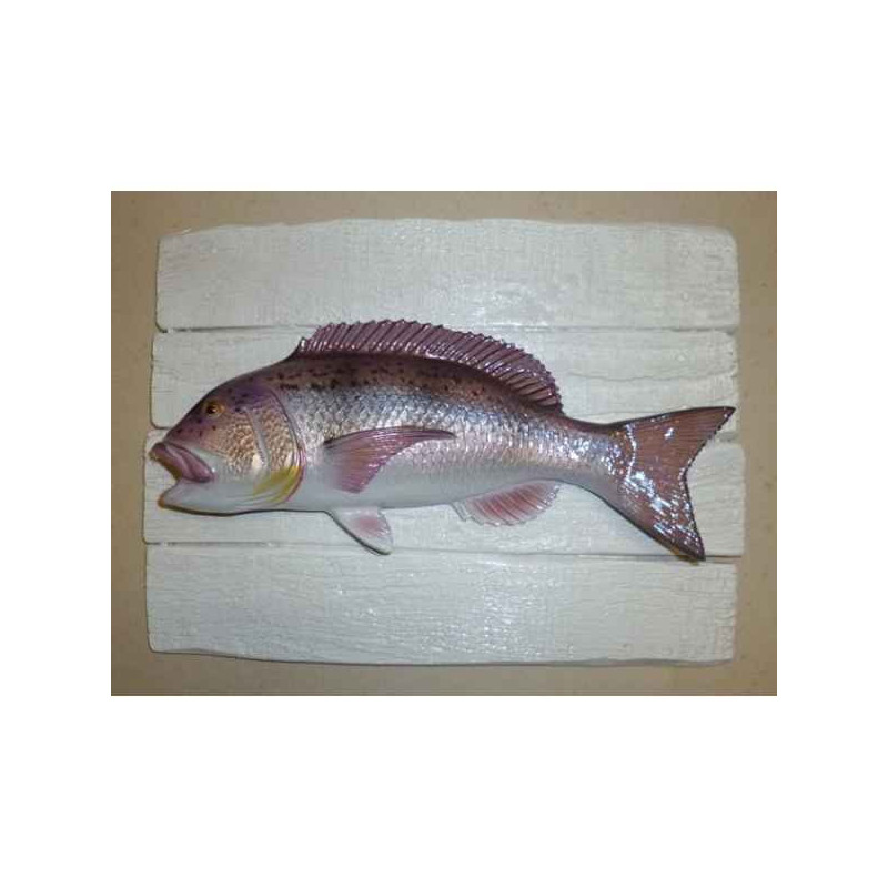 Décors Denti sur cadre -CADR02