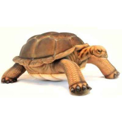 Tortue galapagos 70cmh/145cml Anima -6469 dans Décoration de la mer