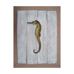 Décors Hippocampe sur cadre -CADR05