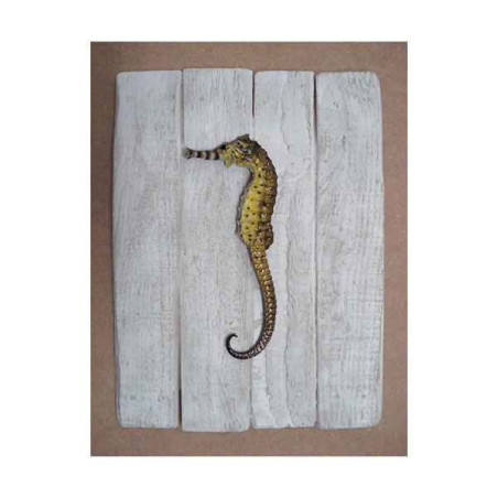 Décors Hippocampe sur cadre -CADR05