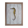 Décors Hippocampe sur cadre -CADR05