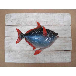 Décors Opah sur cadre -CADR38