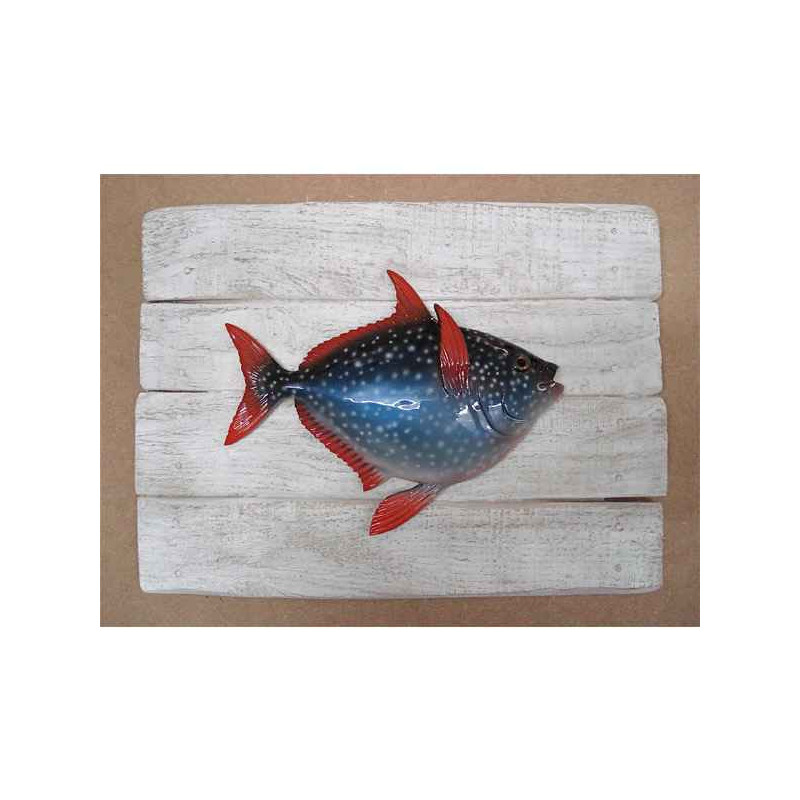 Décors Opah sur cadre -CADR38