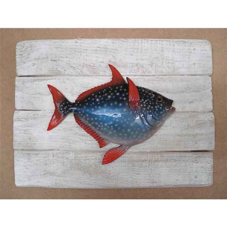 Décors Opah sur cadre -CADR38