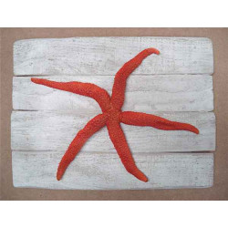 Décors Étoile de mer rouge sur cadre -CADR26