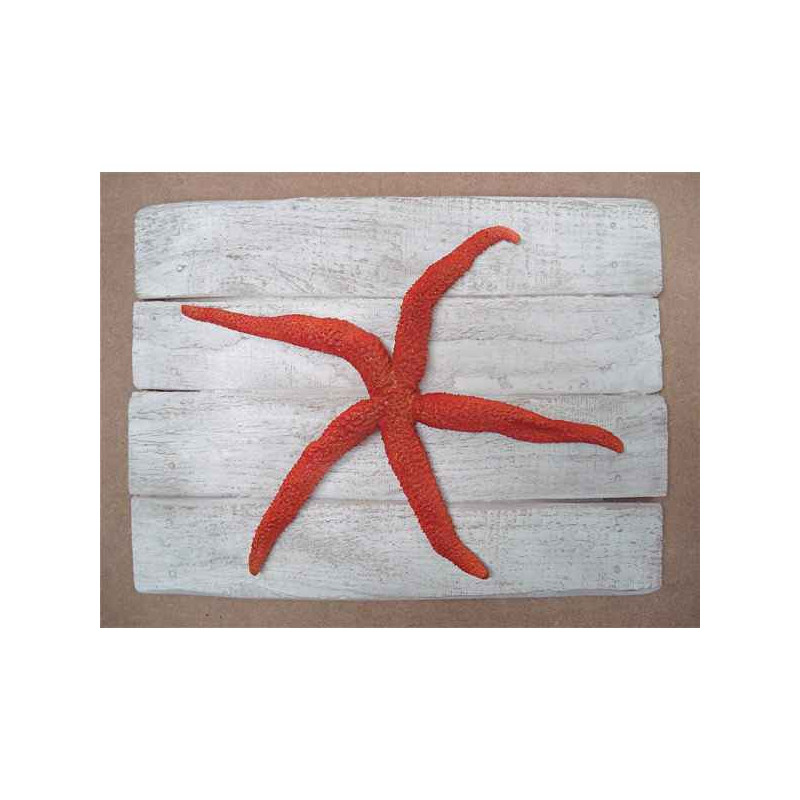 Décors Étoile de mer rouge sur cadre -CADR26