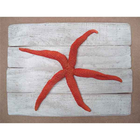 Décors Étoile de mer rouge sur cadre -CADR26