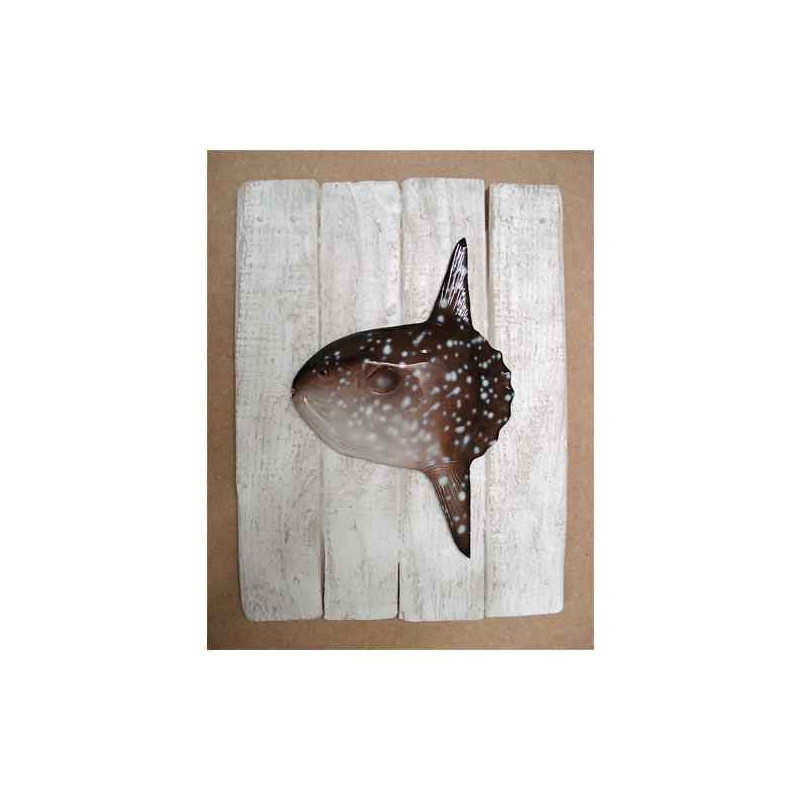 Décors Poisson lune sur cadre -CADR10