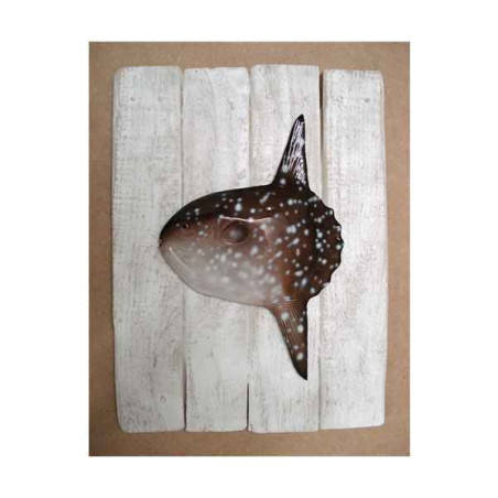 Décors Poisson lune sur cadre -CADR10
