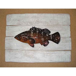 Décors Mérou sur cadre -CADR08