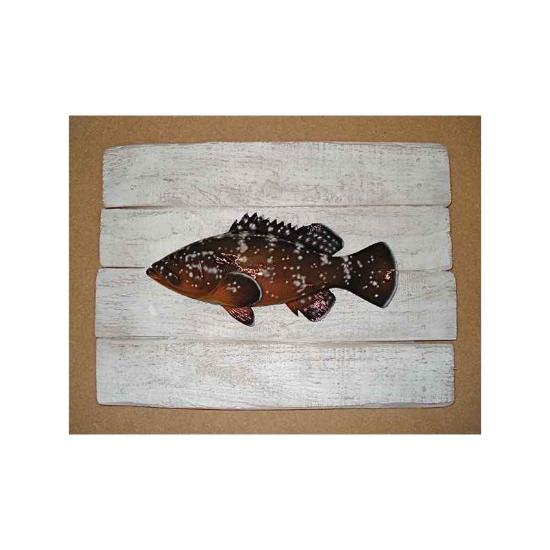Décors Mérou sur cadre -CADR08