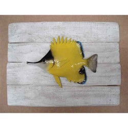 Décors Poisson pincette sur cadre -CADR39
