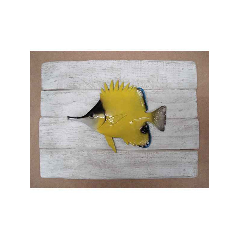 Décors Poisson pincette sur cadre -CADR39