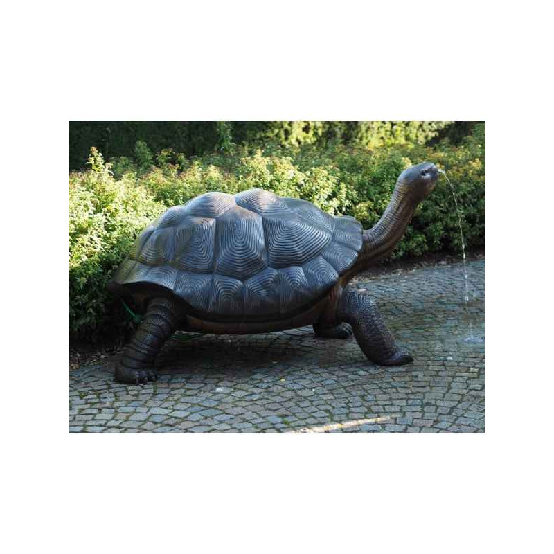 Sculpture tortue galapagos en bronze thermobrass  -b1242