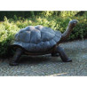 Sculpture tortue galapagos en bronze thermobrass  -b1242