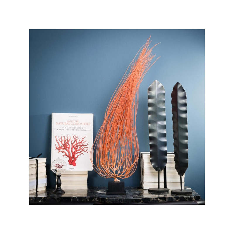 Gorgone flamme mm sur socle bois Curiosité -AN231