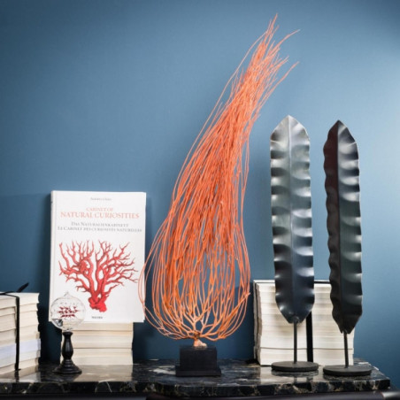 Gorgone flamme mm sur socle bois Curiosité -AN231